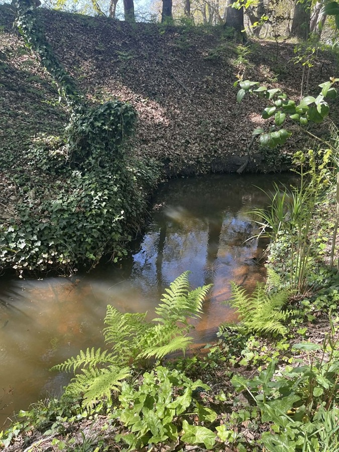 Balade contée le long du Bétey Le murmure du ruisseau Devant le parking de l'ancien cimetière Andernos-les-Bains 2026-08-14