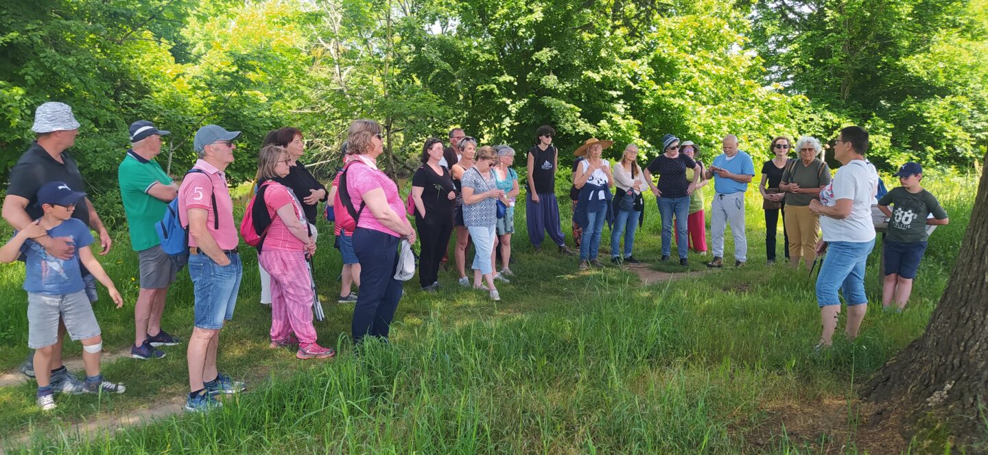 Balade contée sur l&rsquo;Île de Chaillac Parking Chaillac-sur-Vienne