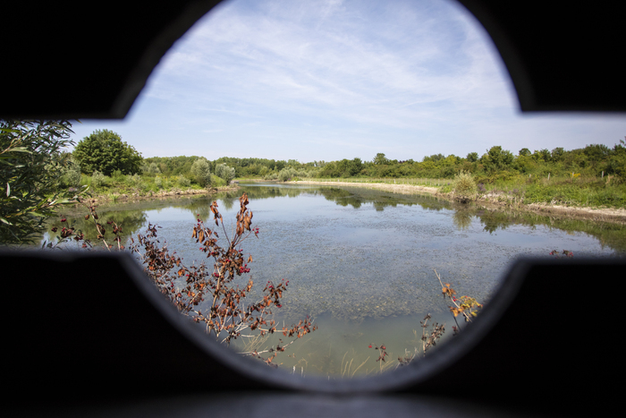Balade croquis, Parc départemental de la Haute-Île, Neuilly-sur-Marne