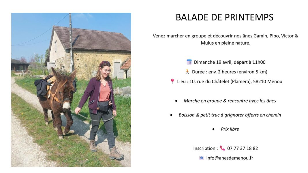 Balade de printemps Anes de Menou Menou