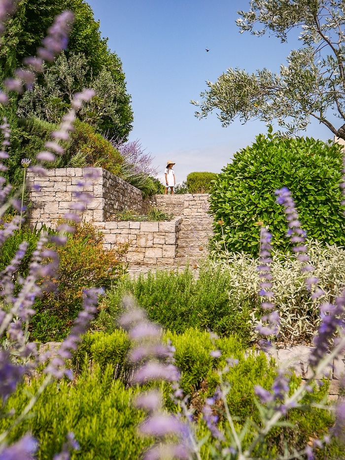 Balade découverte des plantes du jardin des senteurs, Jardin des senteurs, Montélimar