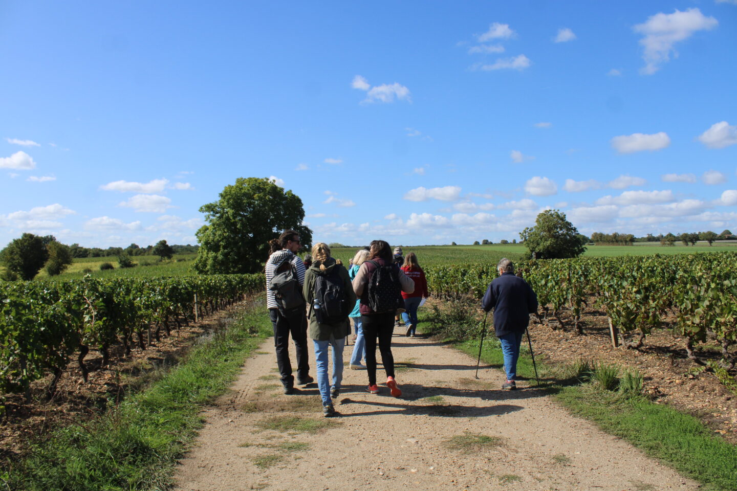 Balade-dégustation It&rsquo;s wine time dans les vignes  Ousson-sur-Loire