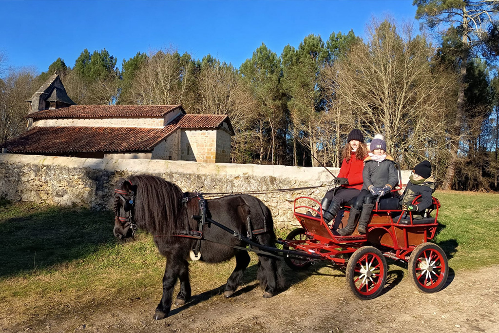 Balade en calèche  Saint-Pierre-du-Mont
