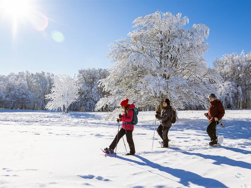 Balade en raquettes au Gaschney Circuit 1 Boucle du Mohrenloch Muhlbach-sur-Munster Haut-Rhin