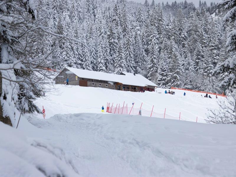Balade en raquettes au Tanet Circuit 2 Autour du Kerbholz Soultzeren Haut-Rhin