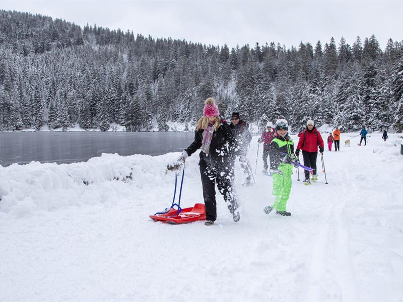 Balade en raquettes au Tanet Circuit 3 Boucle du Schupferen Soultzeren Haut-Rhin