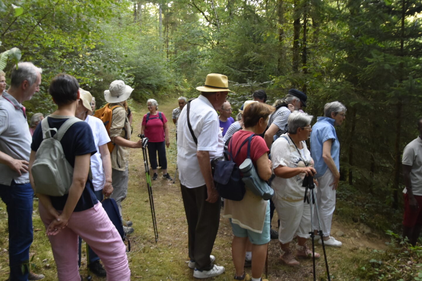 Balade-lecture Forêt d'Arfeuille Royère-de-Vassivière 2026-08-07