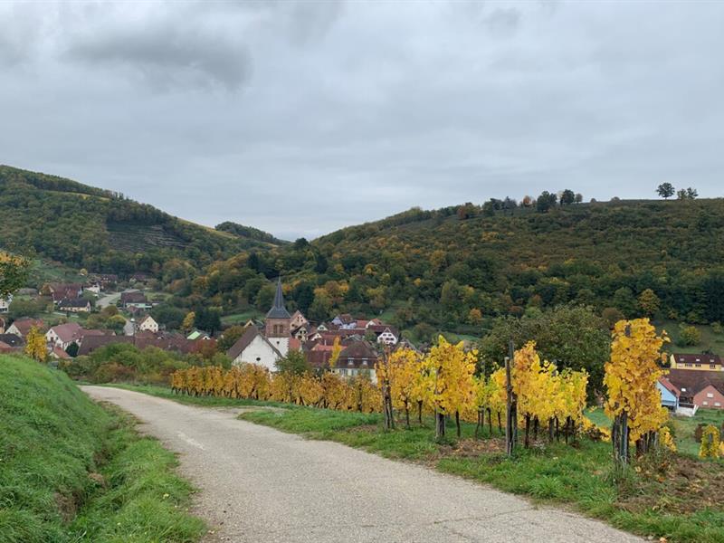 Balade ludique à Albé Albé Bas-Rhin