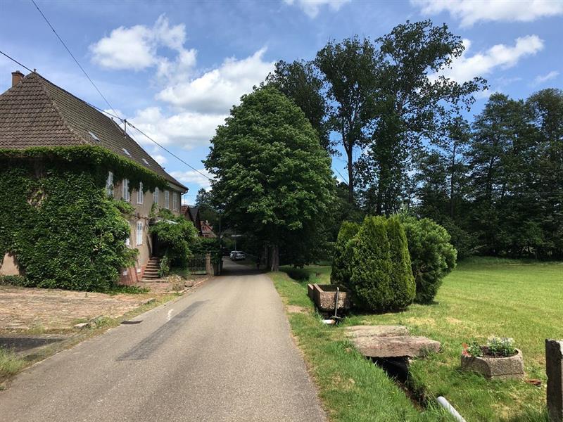 Balade ludique à Bassemberg Bassemberg Bas-Rhin