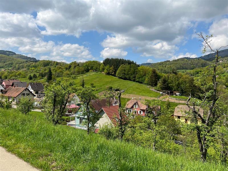 Balade ludique à Maisonsgoutte Maisonsgoutte Bas-Rhin