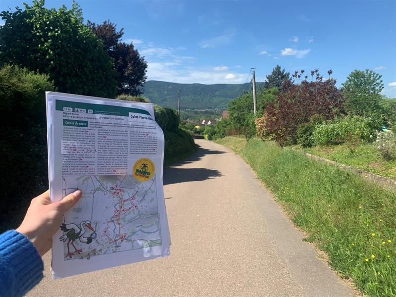 Balade ludique à Saint-Pierre-Bois Saint-Pierre-Bois Bas-Rhin