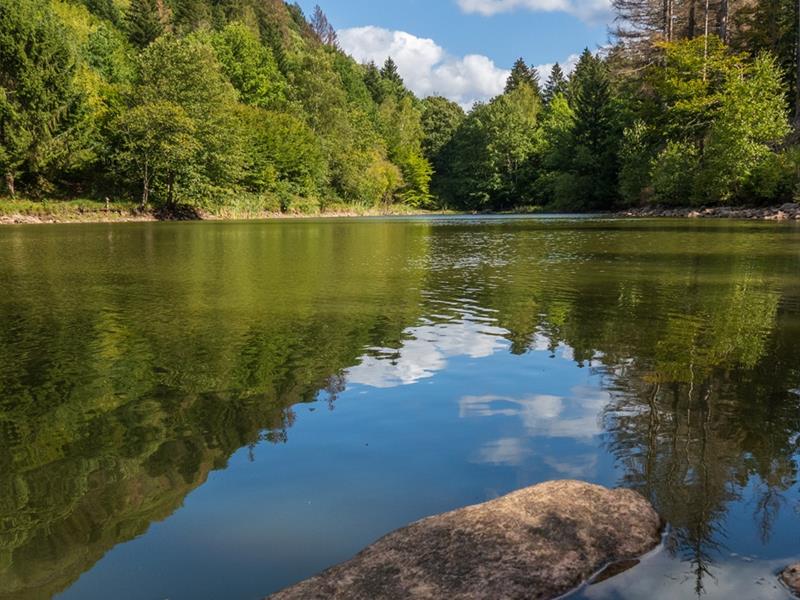 Balade ludique Randoland à Saulxures-sur-Moselotte Saulxures-sur-Moselotte Vosges