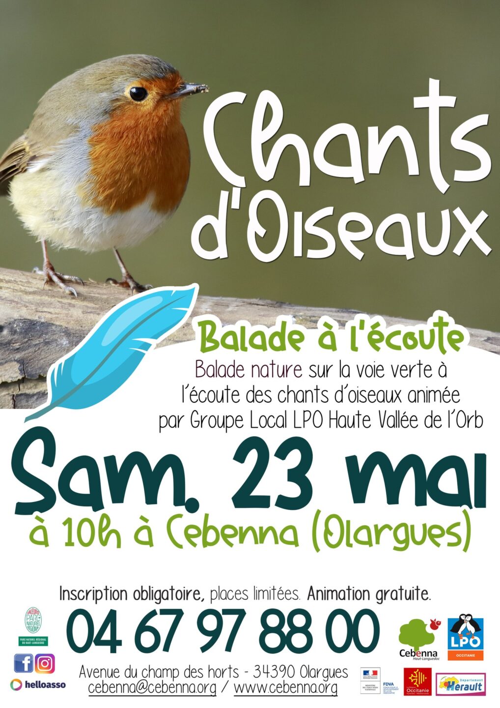 BALADE NATURE CHANTS D’OISEAUX  Olargues