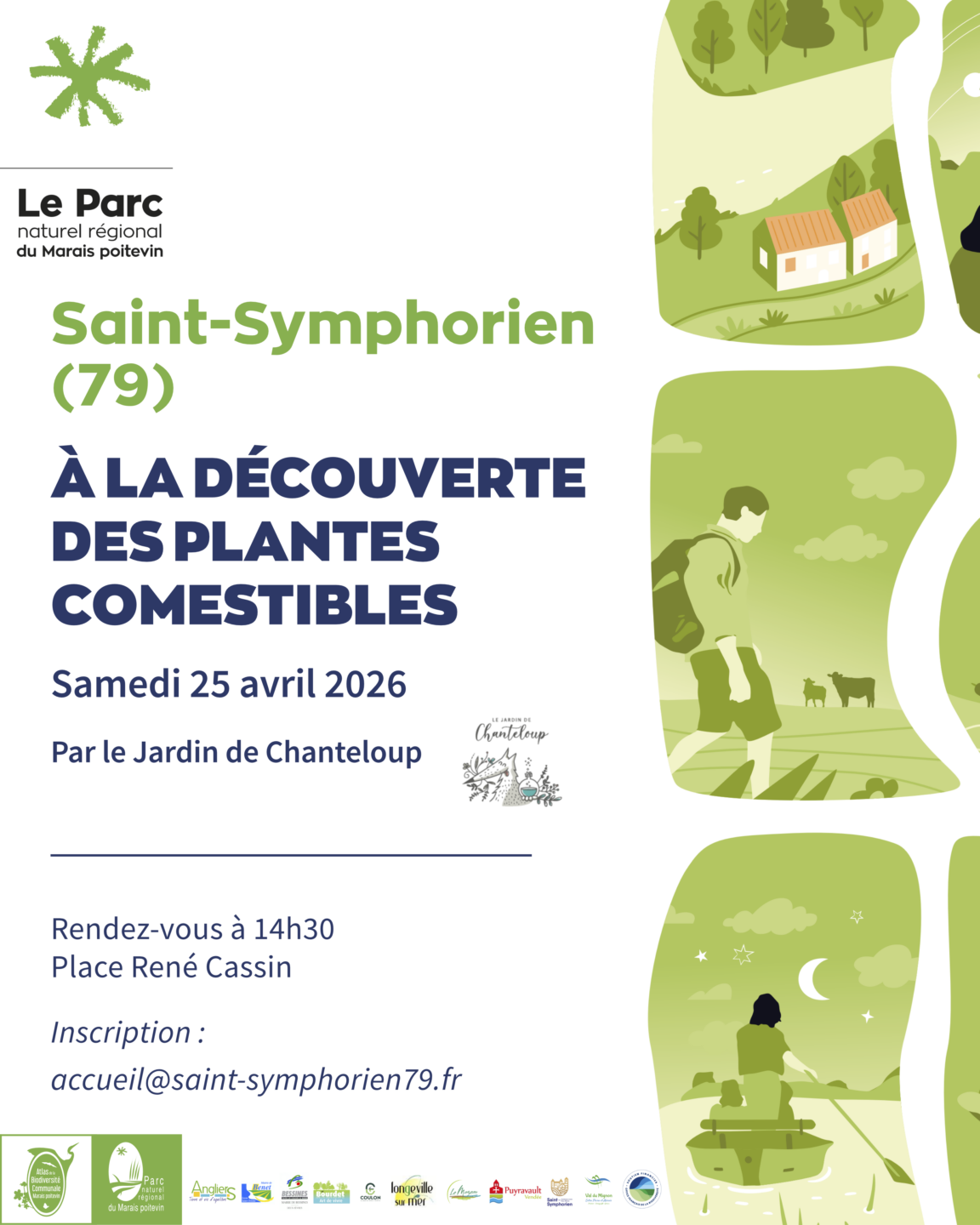 Balade nature Découverte des plantes comestibles à Saint-Symphorien  Saint-Symphorien