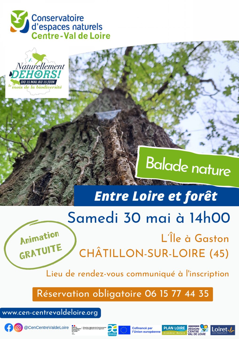 Balade nature Entre Loire et forêt sur l&rsquo;île à Gaston  Châtillon-sur-Loire