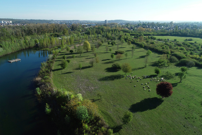 Balade nature et patrimoine Parc départemental de la Haute-Île Neuilly-sur-Marne