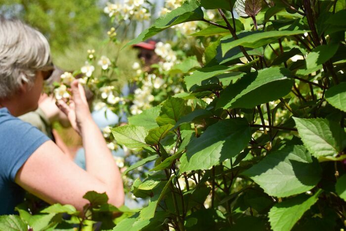 Balade nature et sensorielle Les Jardins de Brocéliande Bréal-sous-Montfort