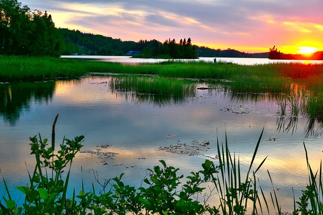 Balade nature Préventions des tiques  Lussat