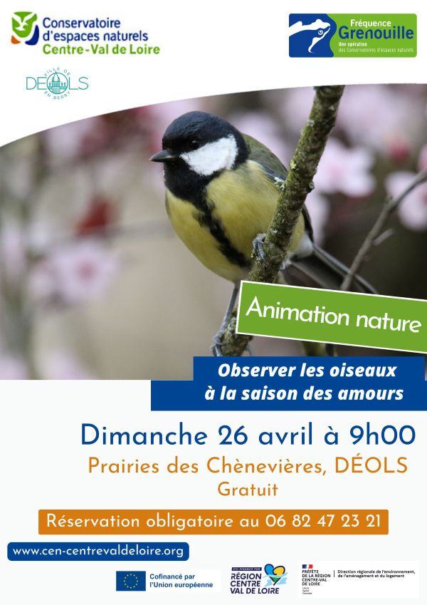 Balade nature sur les prairies des Chènevières Observer les oiseaux à la saison des amours  Déols