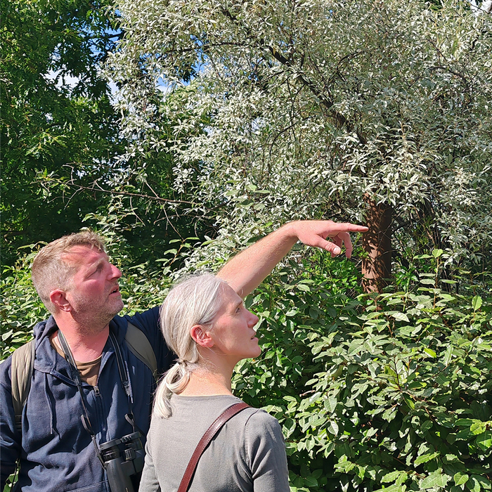 Balade Nature « Votre quartier au printemps » / à la Pouponnière, La Pouponnière, Lille