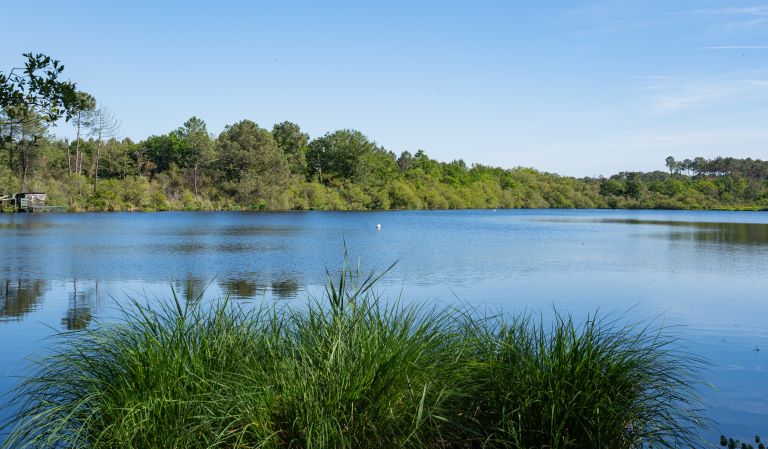 Balade Pédestre guidée Moliets-et-Maa
