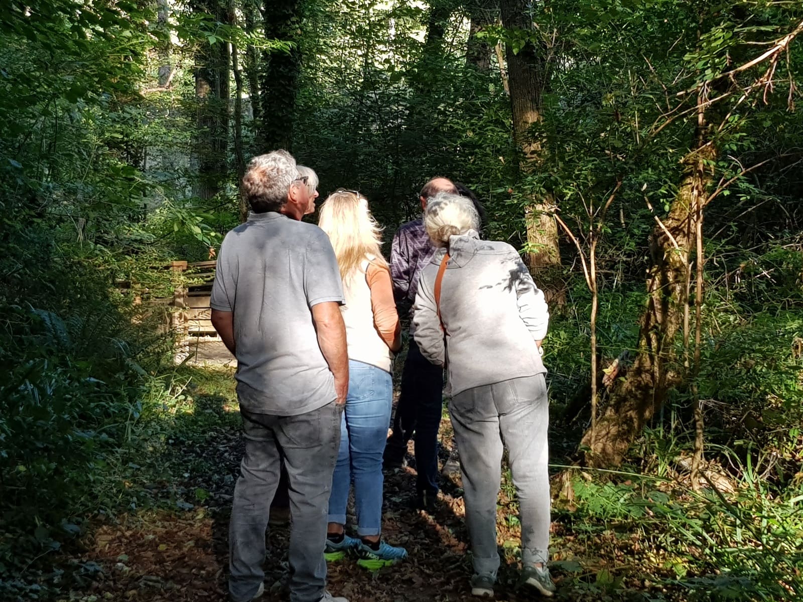 Balade sur le Domaine nature et de loisirs de Blasimon Domaine nature et de loisirs Blasimon 2026-06-06