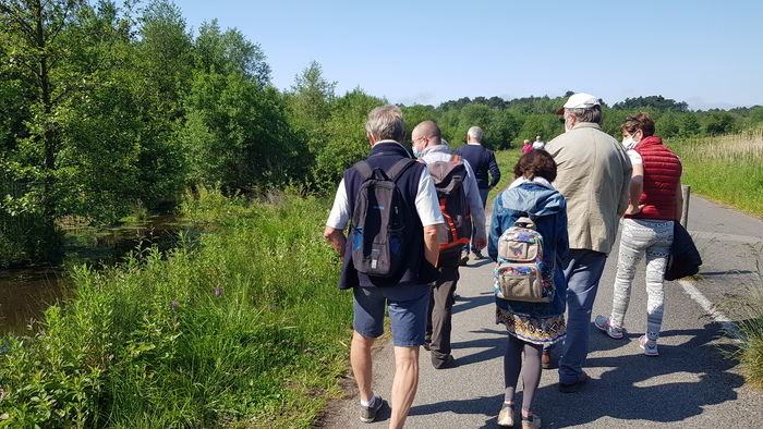 Balade sur les plantes sauvages comestibles Centre culturel de l'Entente Cordiale - Château d'Hardelot Condette