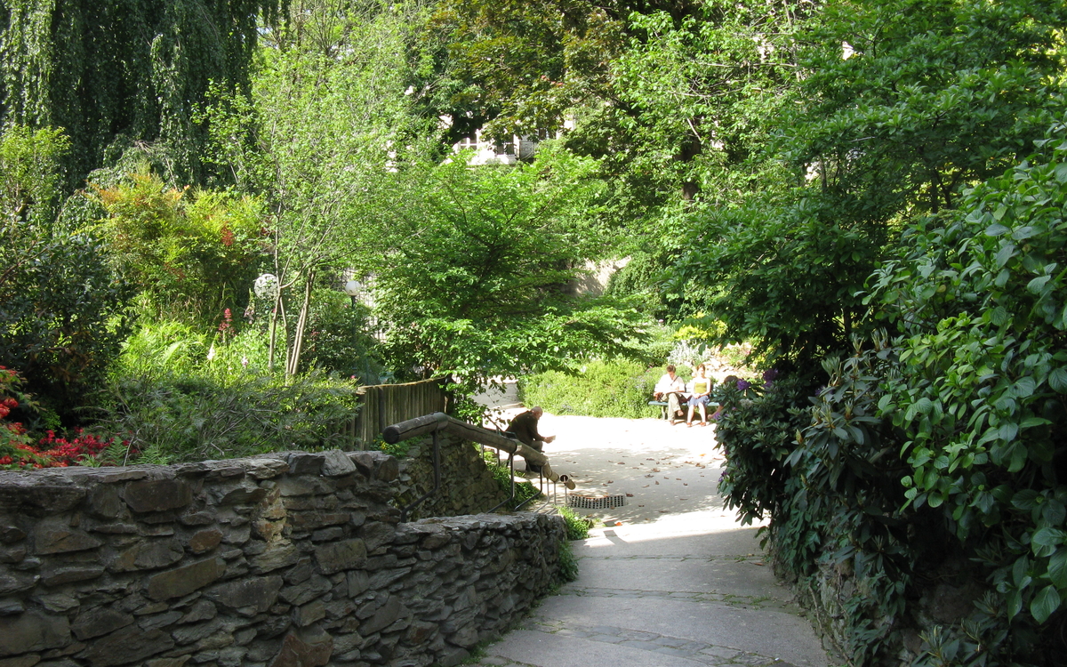 Balade végétale dans le quartier du Bon Marché à l’entrée du square Roger Stéphane rue Juliette Récamier paris