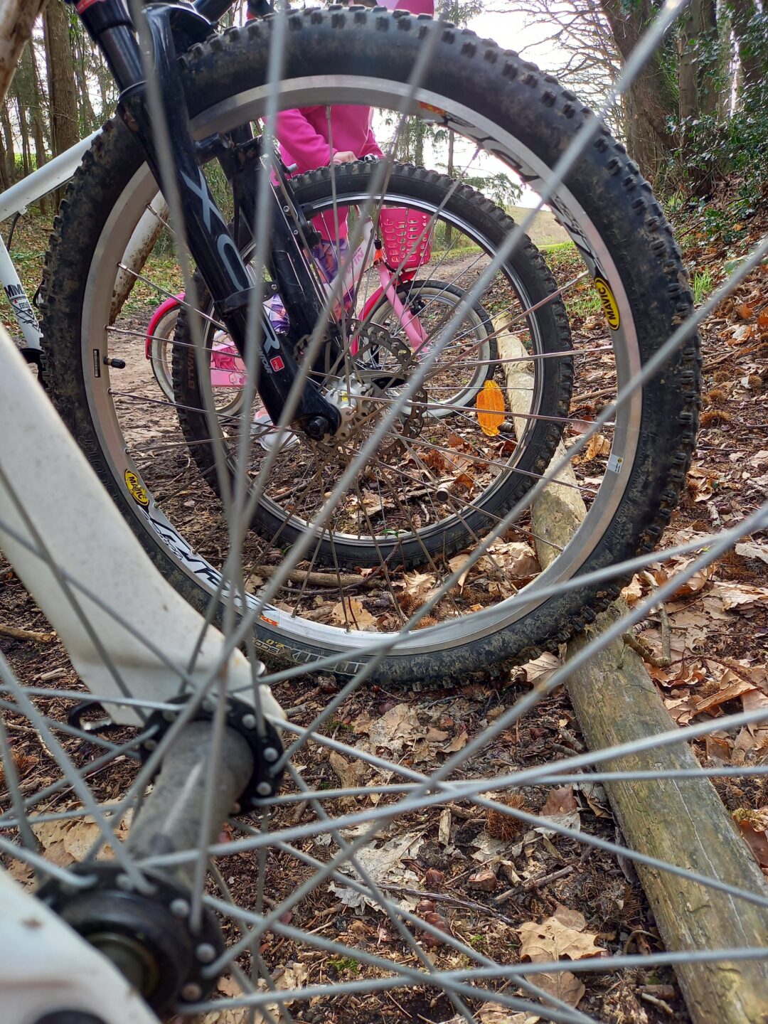 Balade vélo gourmande à Montoire-sur-le Loir  Montoire-sur-le-Loir
