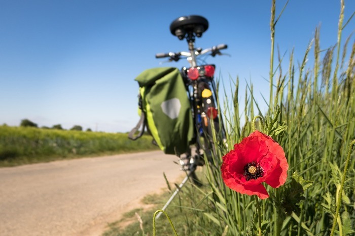 Balades découvertes du territoire à vélo, Parking du Lidl, Le pouliguen