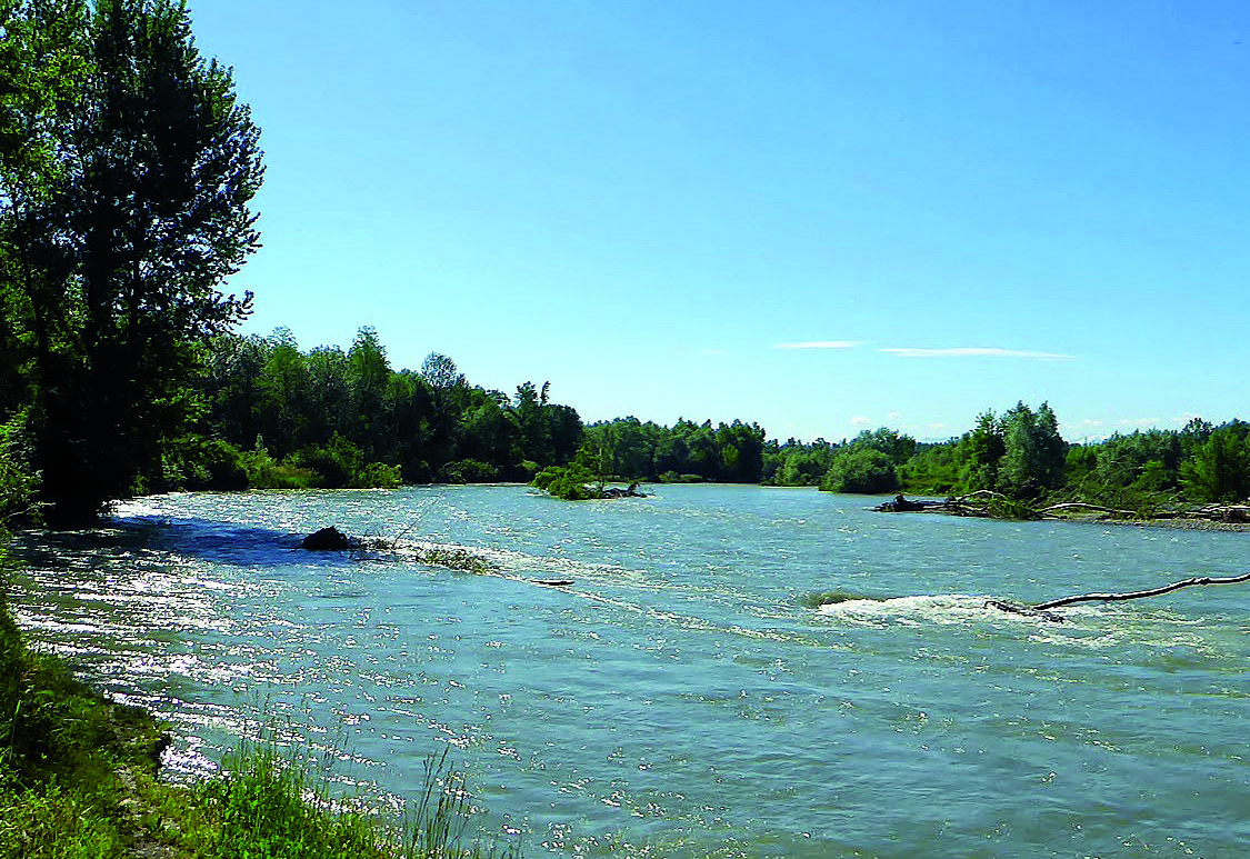 Berges du Gave Labastide-Cézéracq Pyrénées-Atlantiques