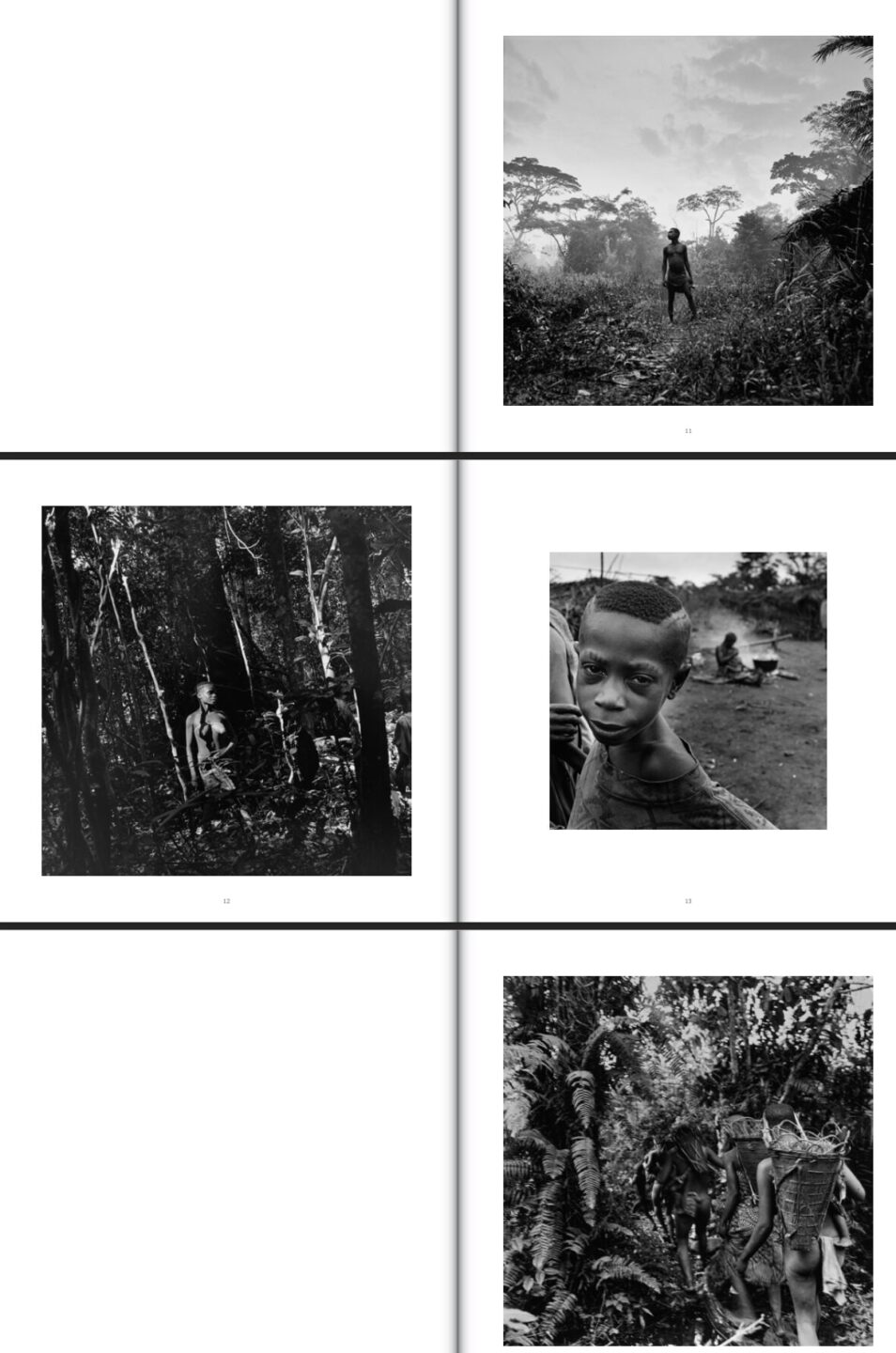 bernard descamps dominique A