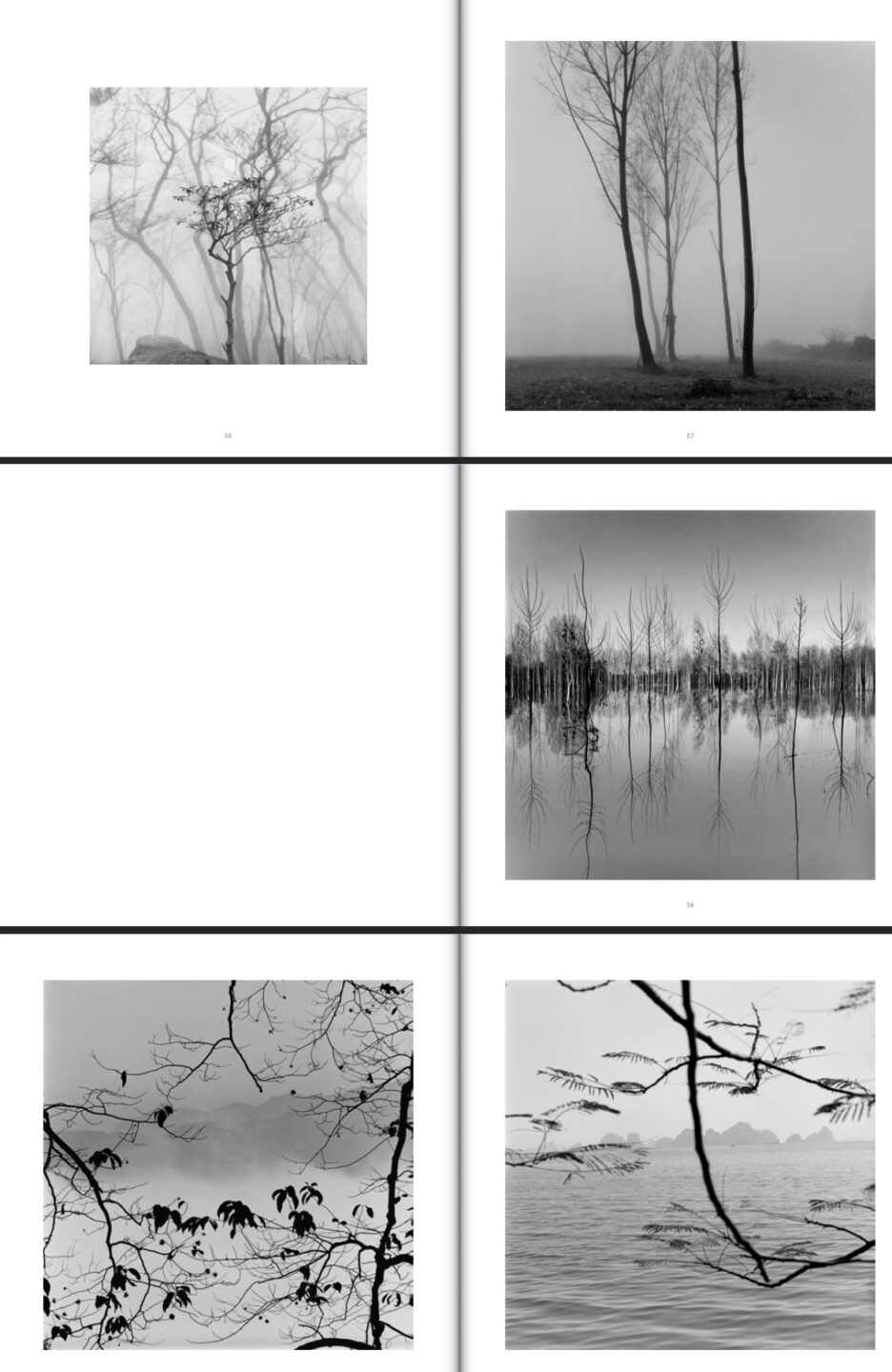 bernard descamps dominique A