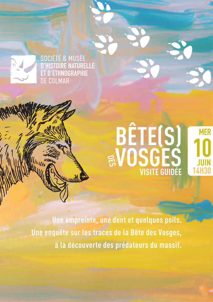 Bête(s) des Vosges Musée d'Histoire naturelle et d'Ethnographie de Colmar Colmar