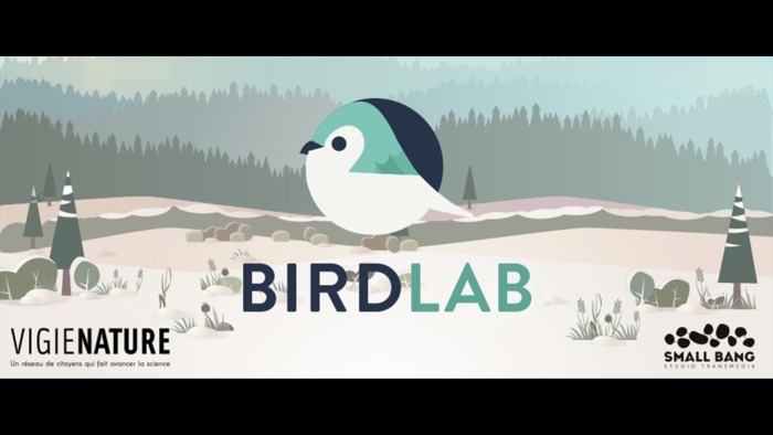 Birblab