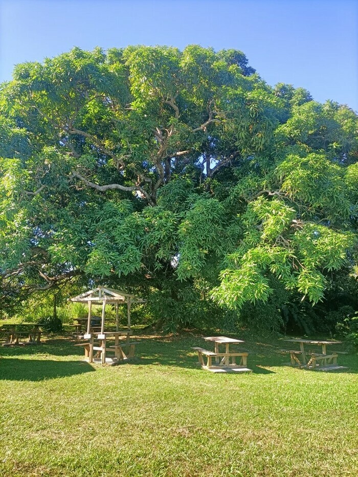 BITASYON BWANE bitasyon Bwane Petit-Bourg