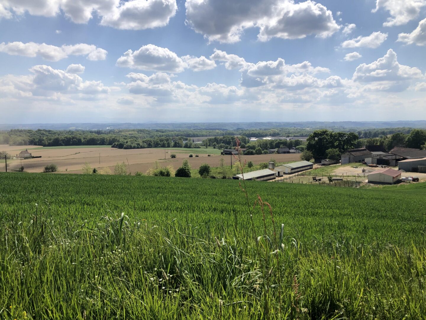 Bois de Canarde Arthez-de-Béarn Pyrénées-Atlantiques
