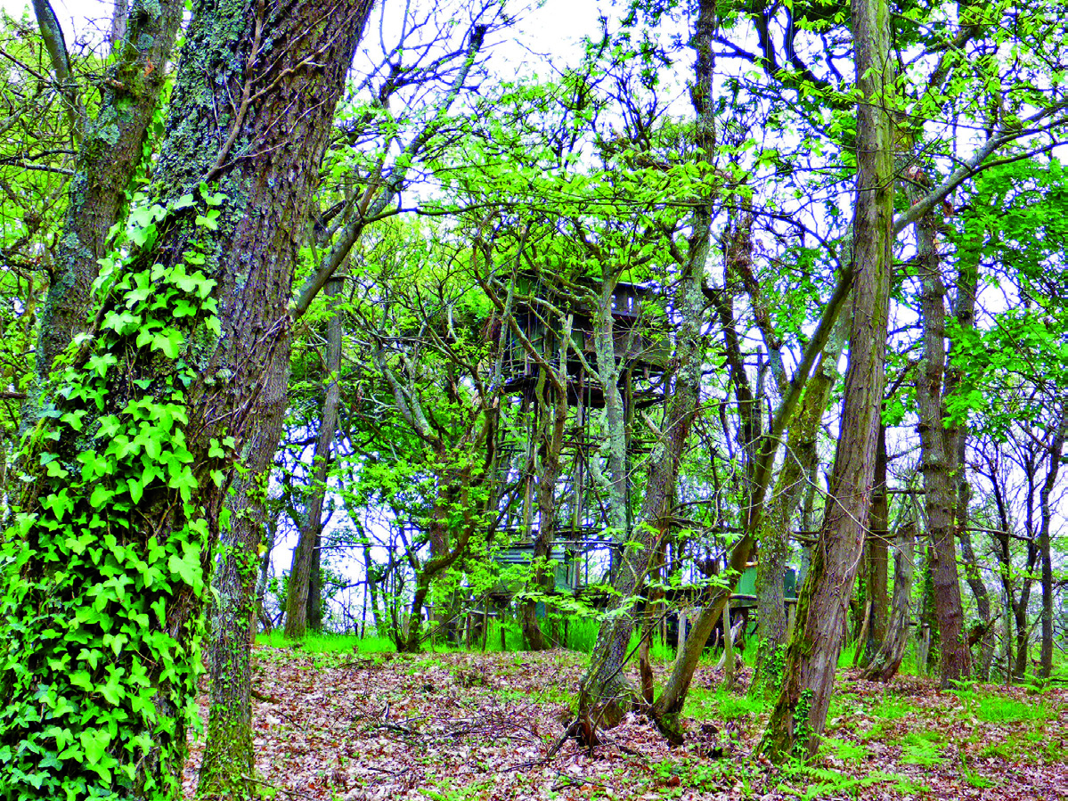 Bois et landes d&rsquo;Urdès Urdès Pyrénées-Atlantiques