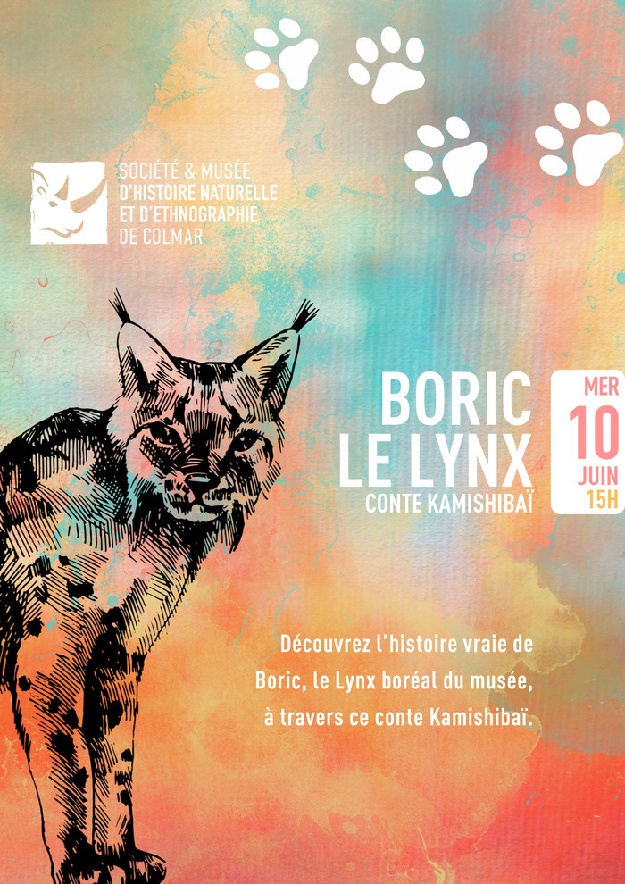 Boric le lynx Musée d'Histoire naturelle et d'Ethnographie de Colmar Colmar