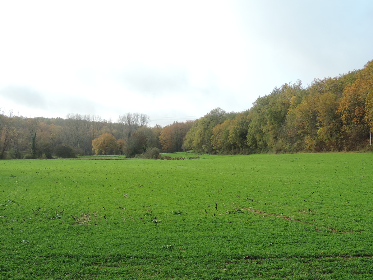 Boucle des Bernardies à Simeyrols Simeyrols Dordogne