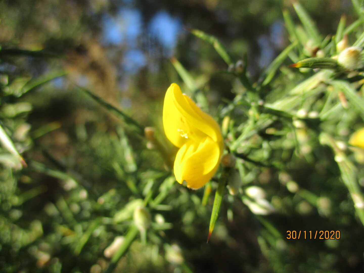 Boucle des fontaines à St Julien de Lampon Saint-Julien-de-Lampon Dordogne