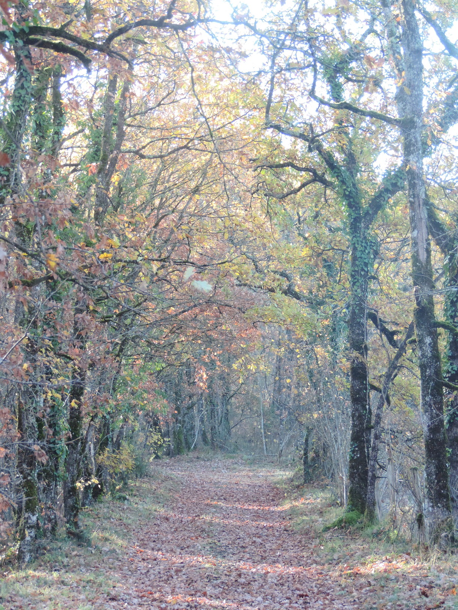 Boucle d&rsquo;Orliaguet Pechs-de-l&rsquo;Espérance Dordogne