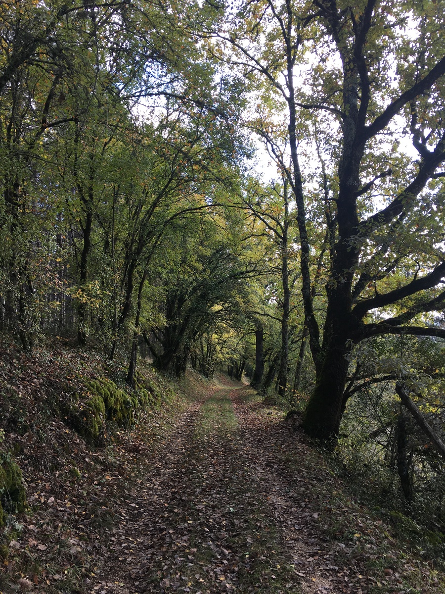 Boucle du Coustal à St Julien de Lampon Saint-Julien-de-Lampon Dordogne