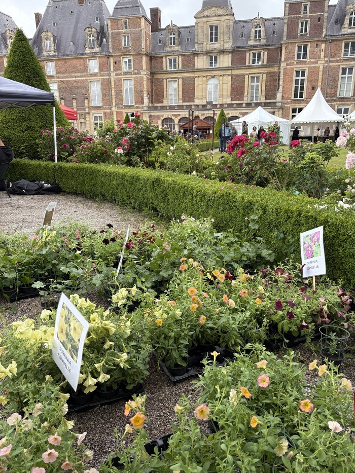 Bourse aux plantes Château d'Eu Eu