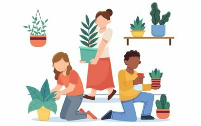 Bourse aux végétaux, Médiathèque de Fréhel, Fréhel