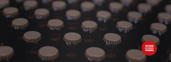 Brasserie l'Opercule Brasserie l'Opercule Senones