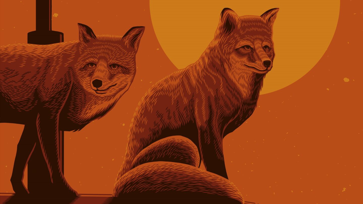 CAKE L&rsquo;OLYMPIA Paris