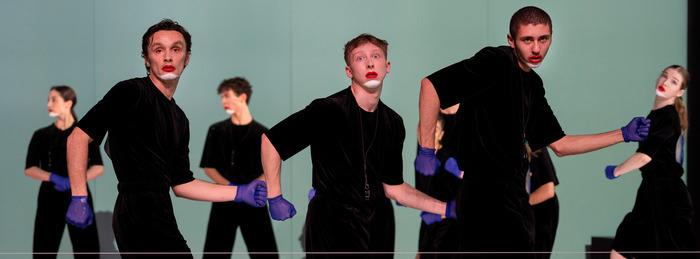 Canine Jaunâtre 3, Opéra de Lille, Lille