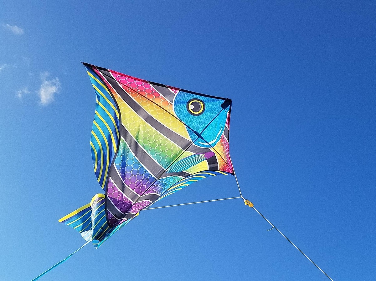 Cerfs-Volants  Courseulles-sur-Mer