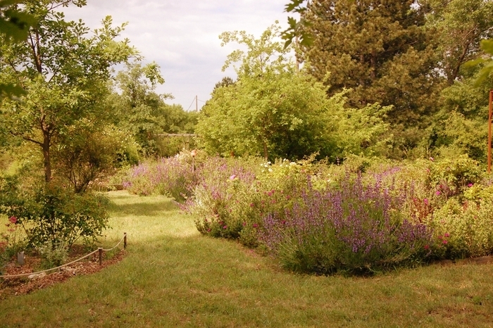C&rsquo;est vous le photographe!, La Roseraie de Gérenton, Bédoin